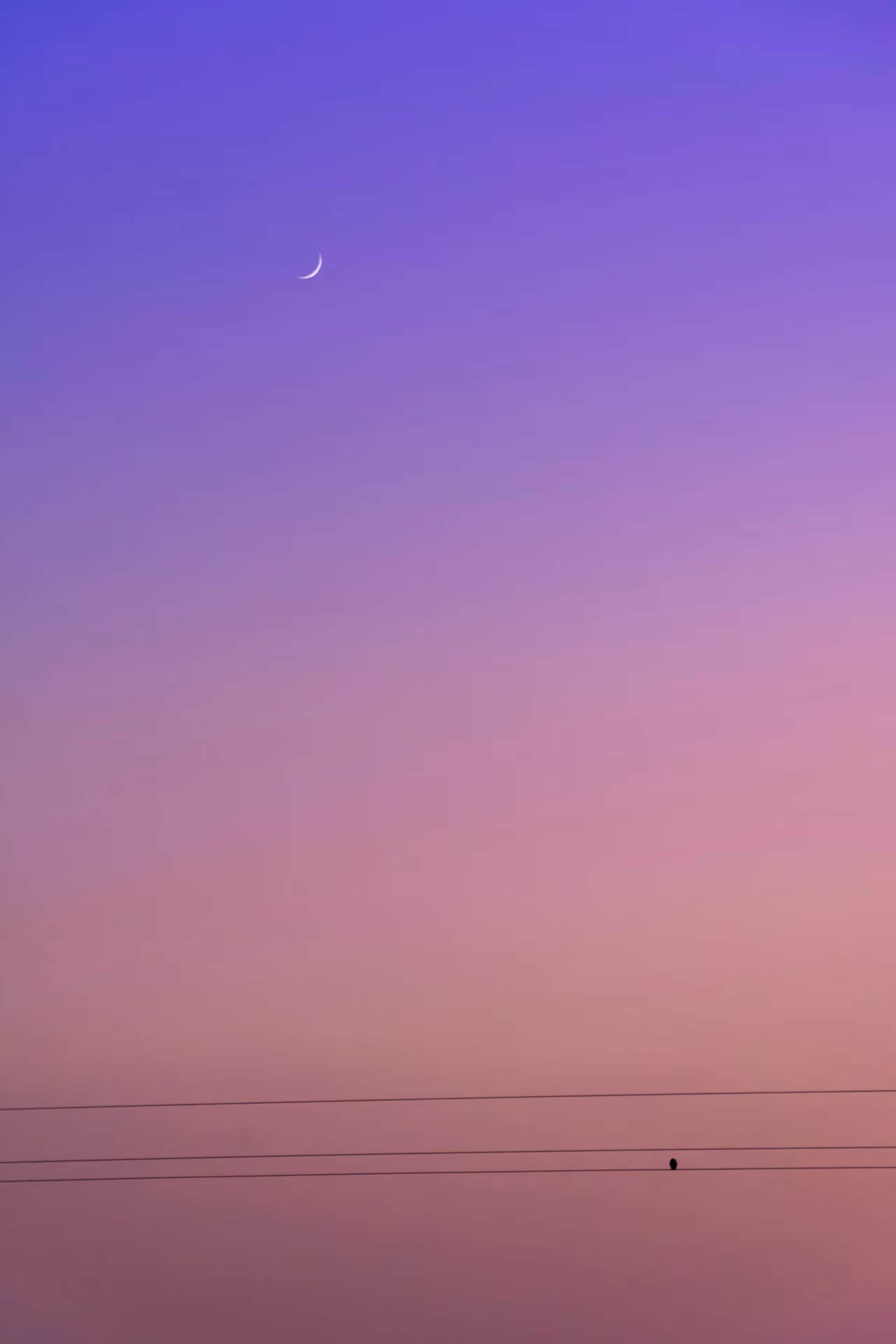 mcucmrajm4p43f39mqm9g